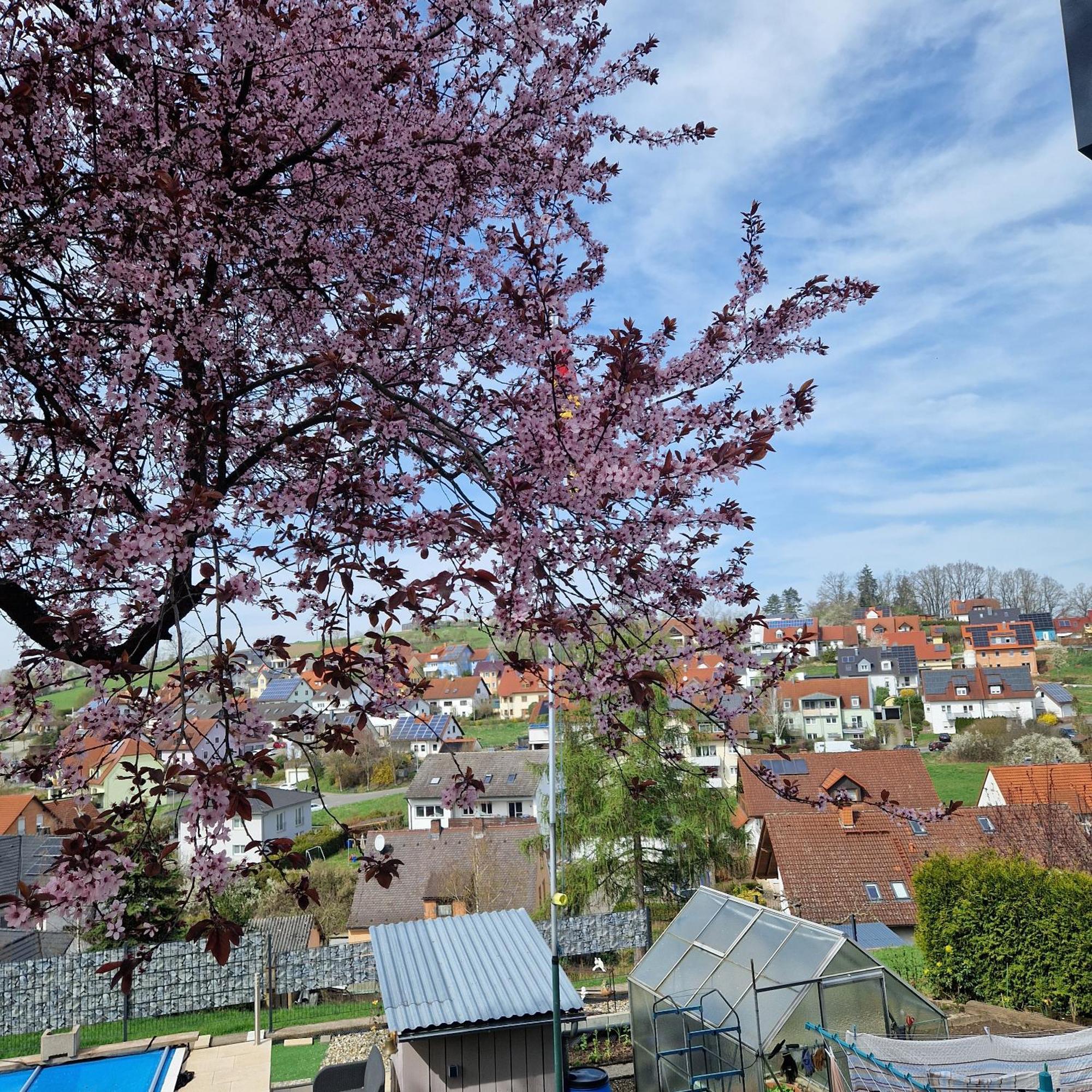 Ferienwohnung Wachter In Viereth Mit Tollem Ausblick Exterior foto